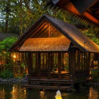 Saung Single